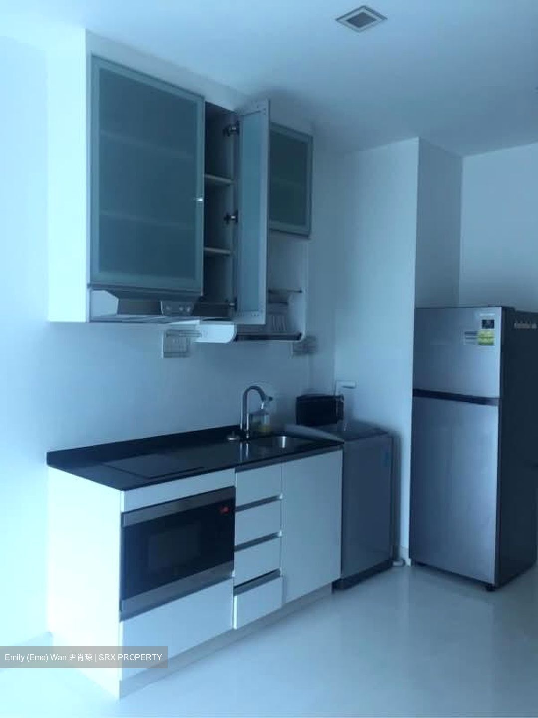 Parc Rosewood (D25), Condominium #533958841